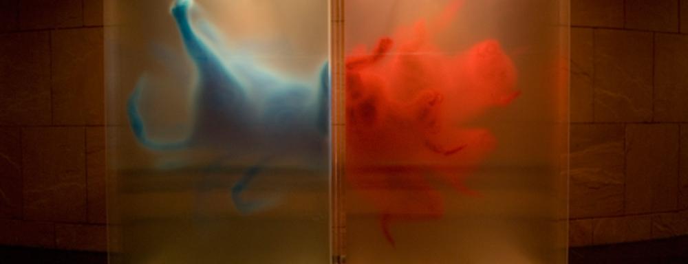 A work which on the left features and animal rear painted in blue on the left an explosion of red paint.