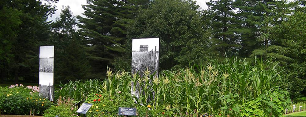 Image of circular garden. 