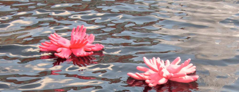 Flowers made of pink hand sculptures floating on water. 