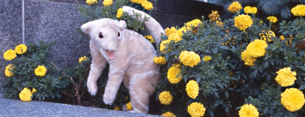 A plush beast in flower bed