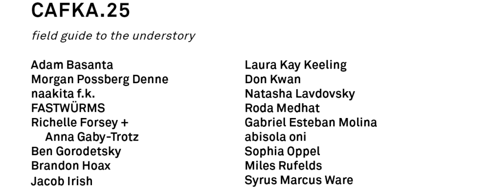cafka.25 biennial artist list