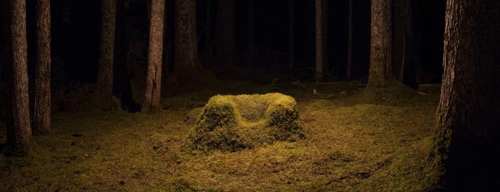 a moss-covered chair in a dark forest