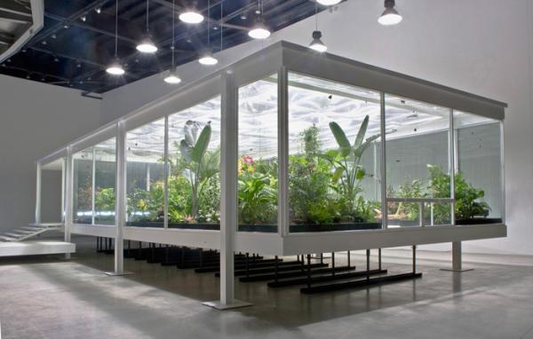 Image of Plants in large square green house in the middle of a gallery room