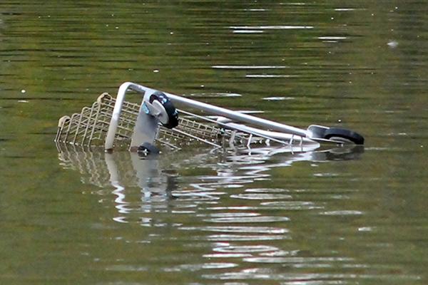 Grocery cart sinking in water 