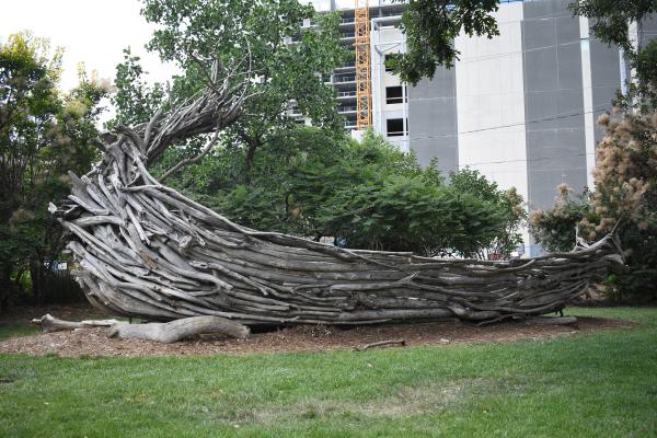 Photo of large boat made of drift wood logs