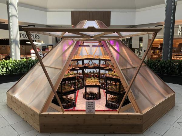 Image of pyramid shaped green house