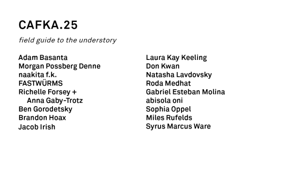 cafka.25 biennial artist list